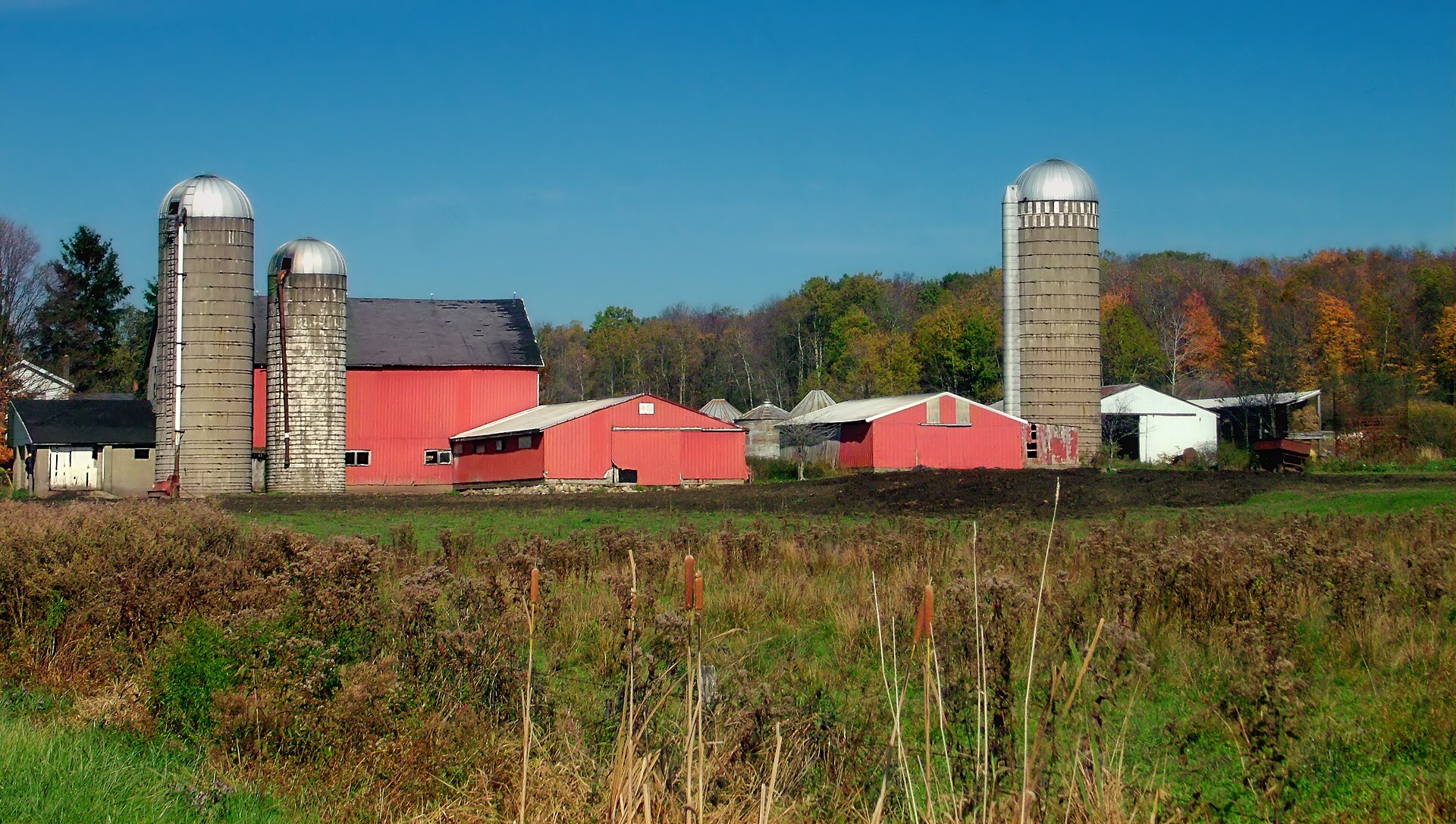 Red Barn in Autumn